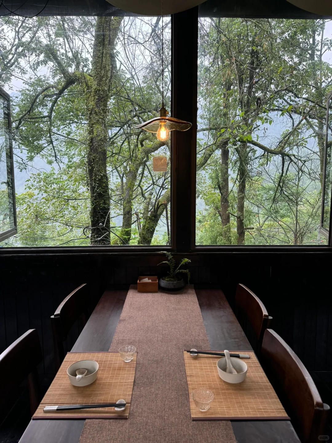 在成都的山野生日餐厅🍽️🌿