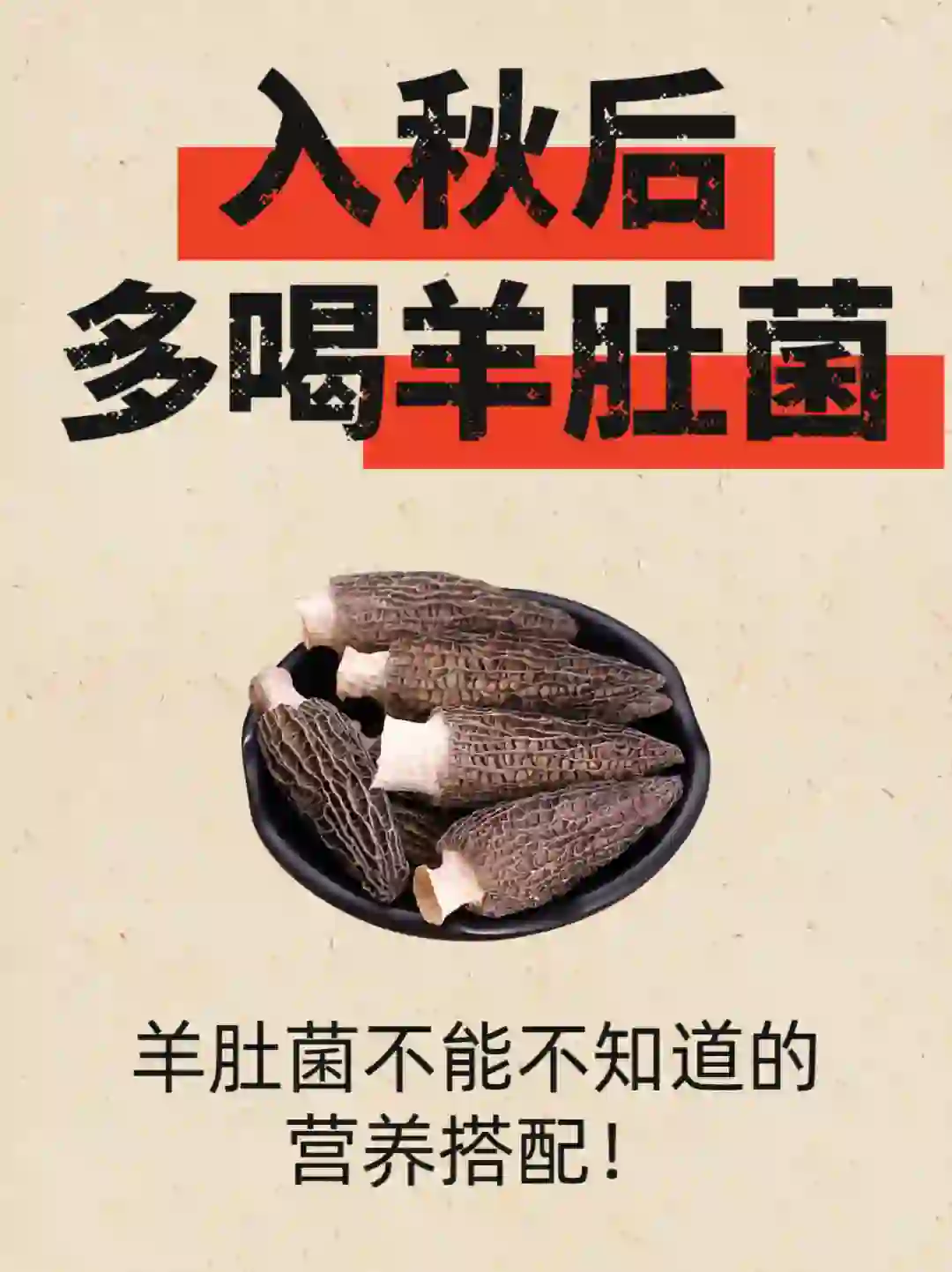 秋燥多喝羊肚菌汤❗这些搭配简单又营养🌟