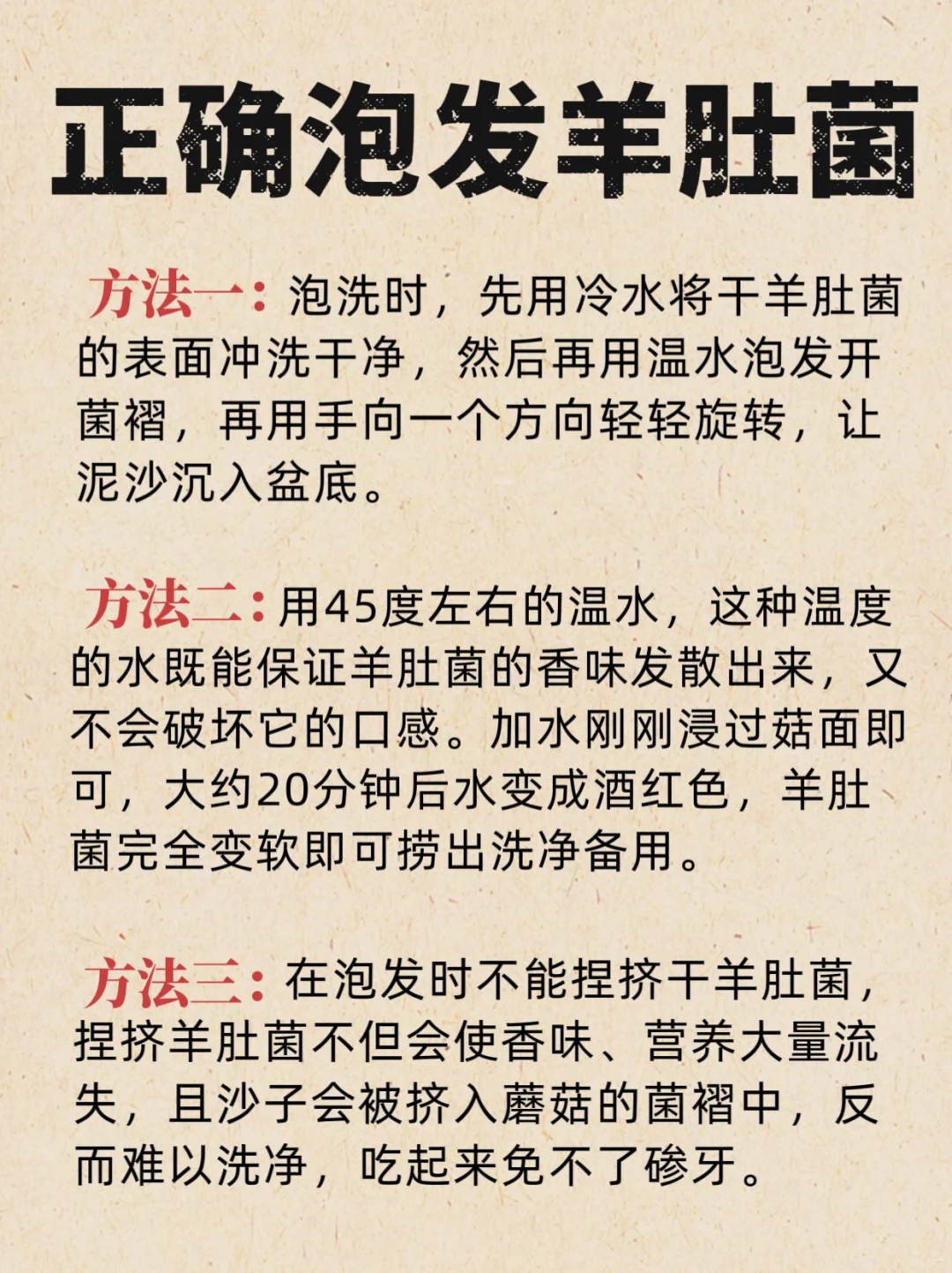 秋燥多喝羊肚菌汤❗这些搭配简单又营养🌟