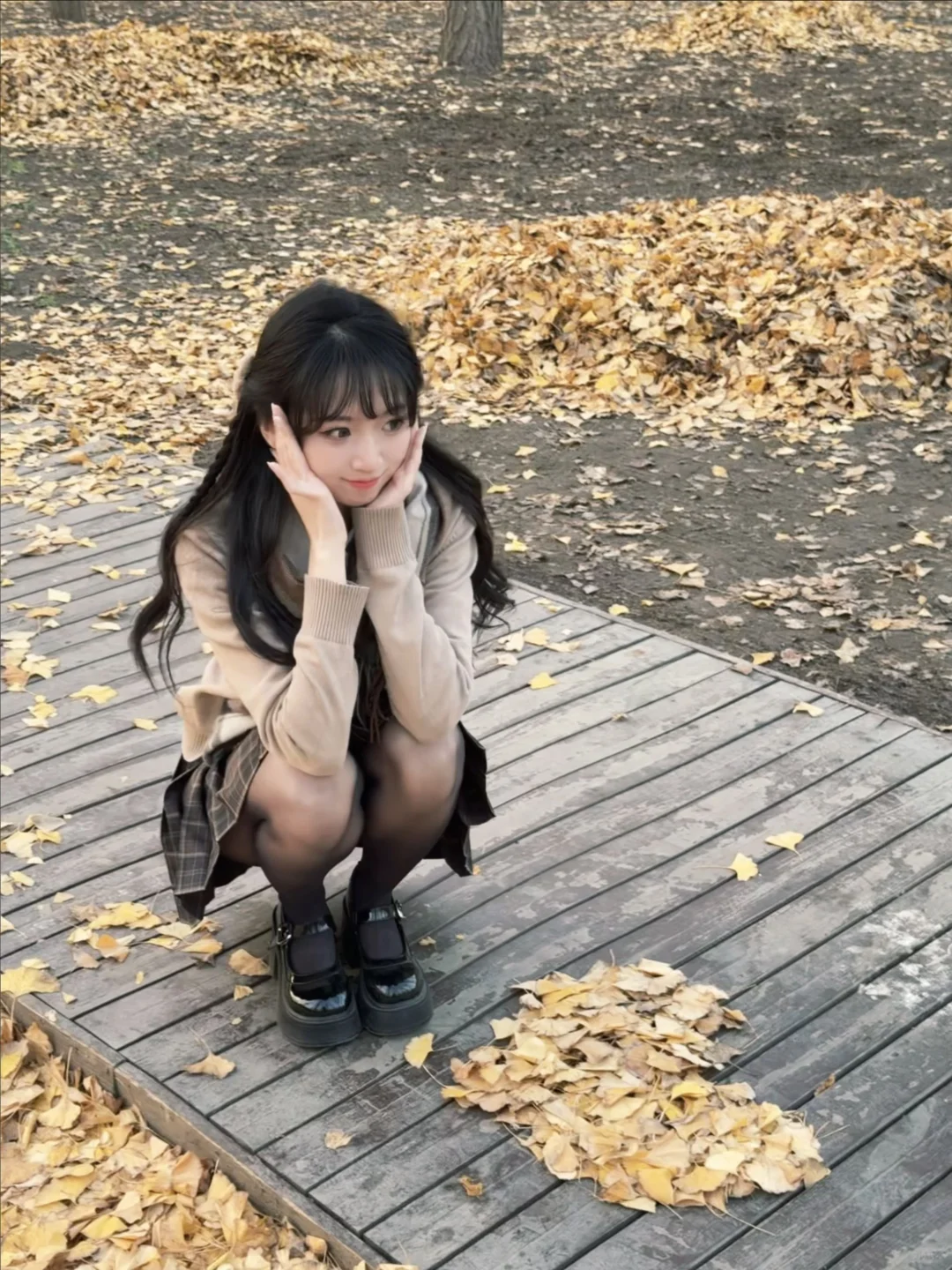 落叶都是爱你的形状🍂🤎