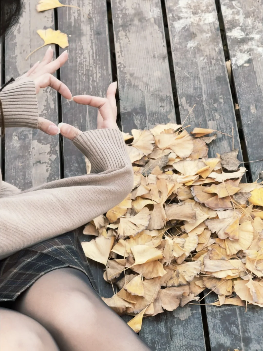 落叶都是爱你的形状🍂🤎