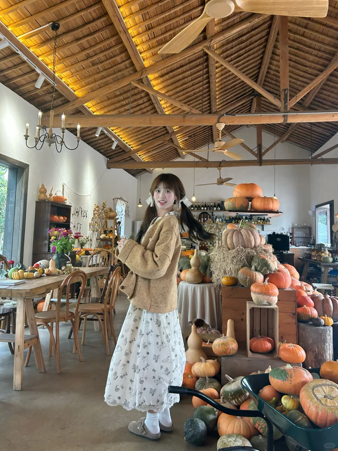 不给南瓜🎃就捣蛋！！