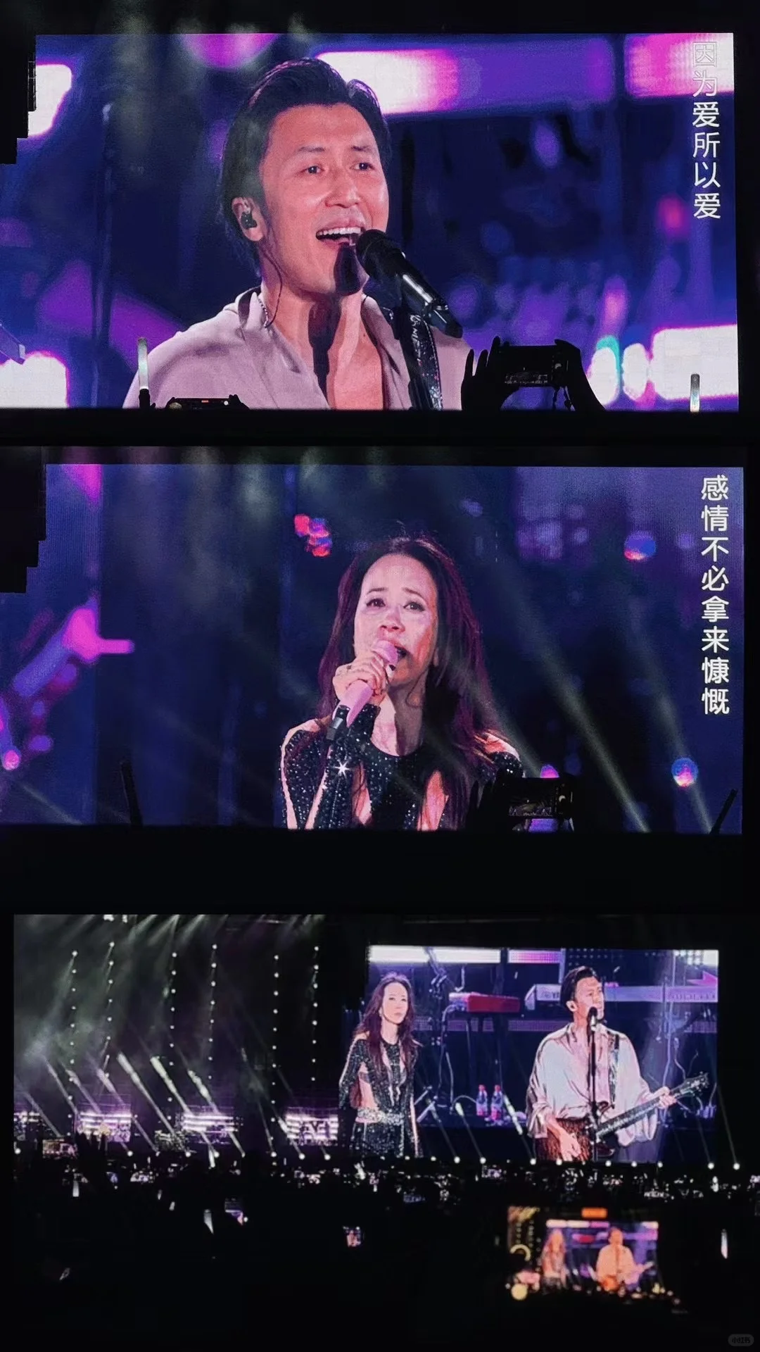 莫文蔚上海演唱会