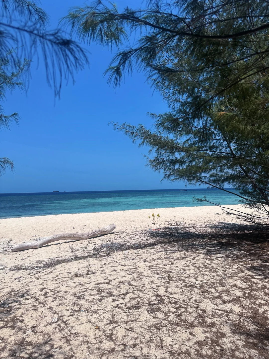 去看海啦
