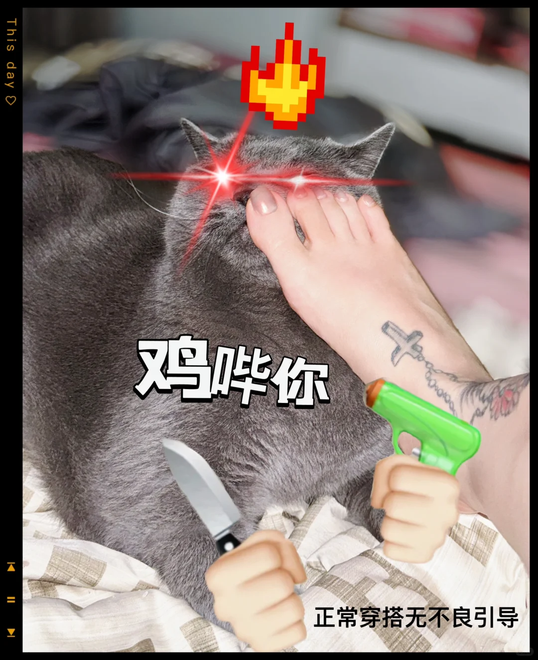 一只流浪猫