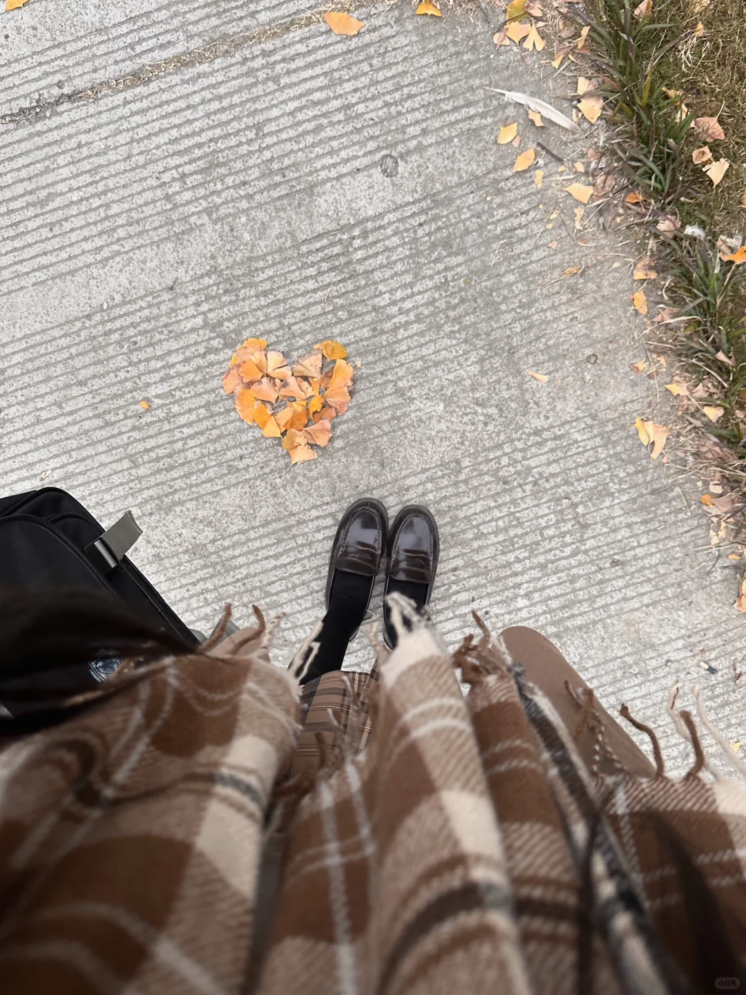 真正想落脚的地方 是你的身边