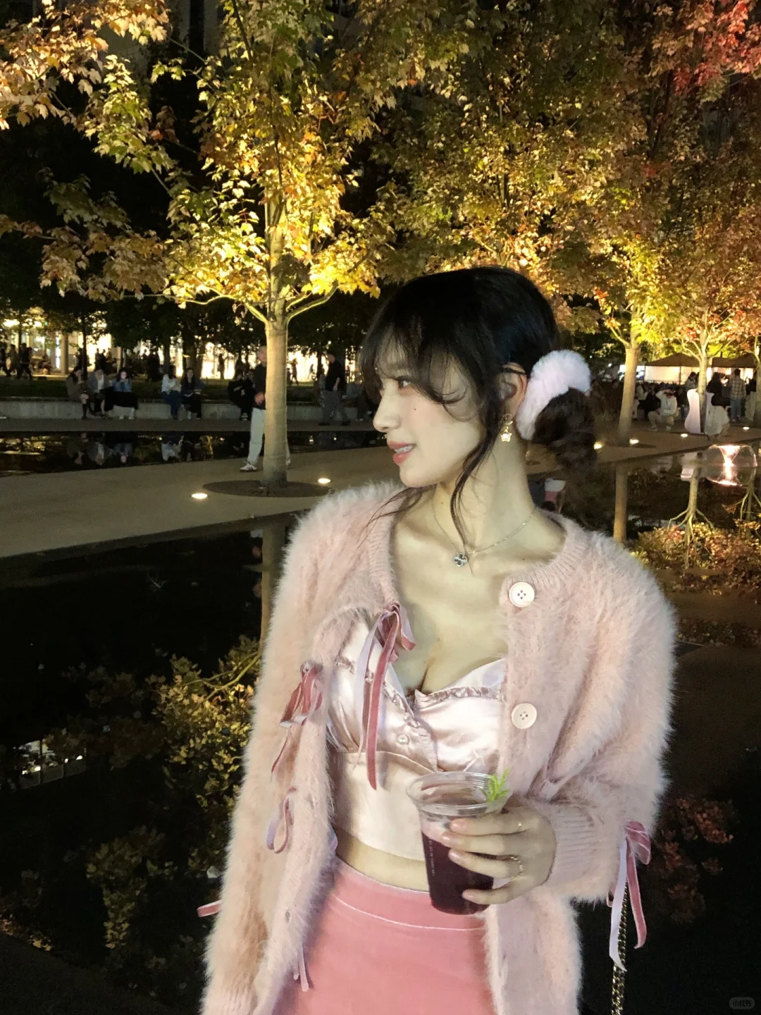 🍁