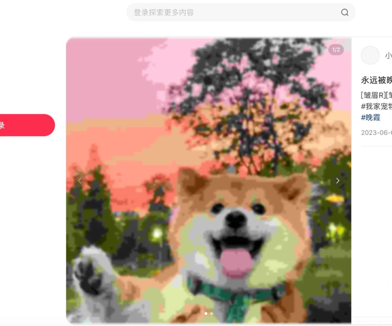 safari打开的网页版小红书咋这样了