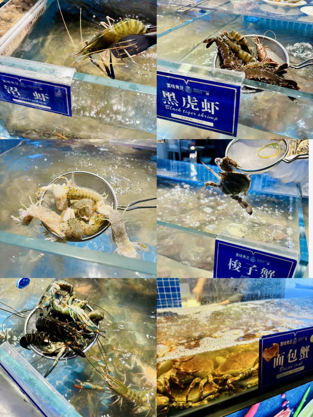 干啥啥不行 吃饭第一名