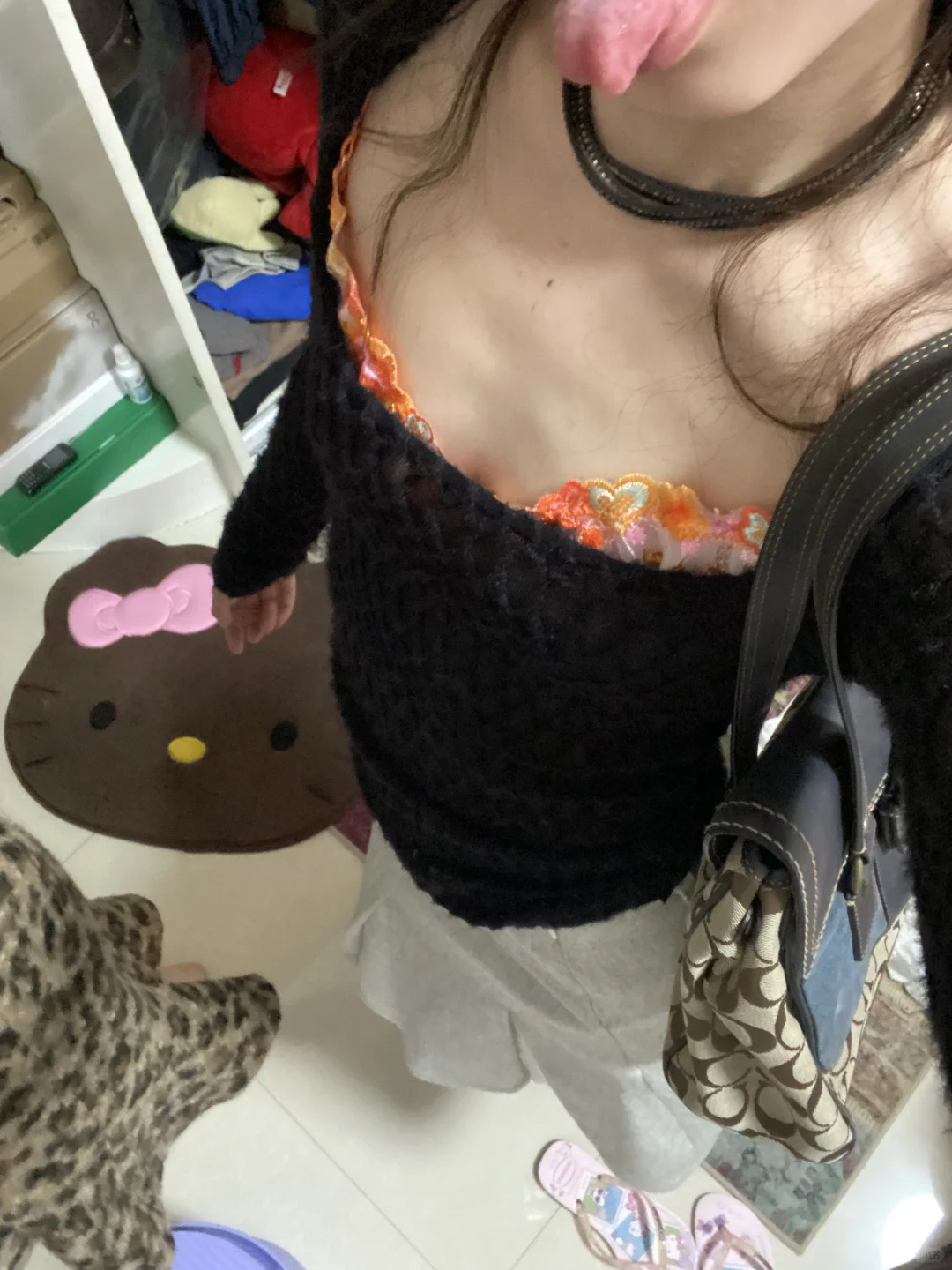 雀斑蛛