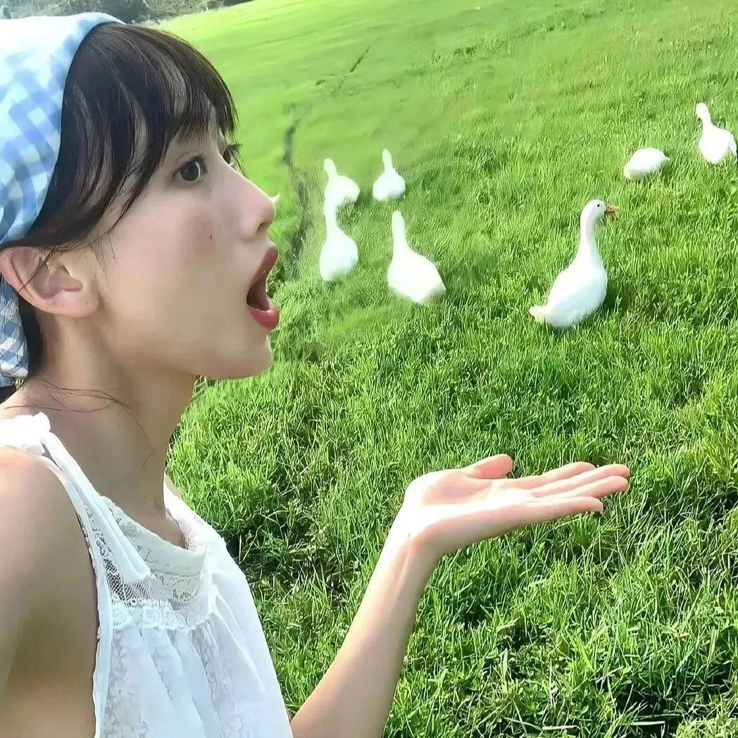 WeChat|甜妹头像 可爱小猫 ᵐⁱᵃº~