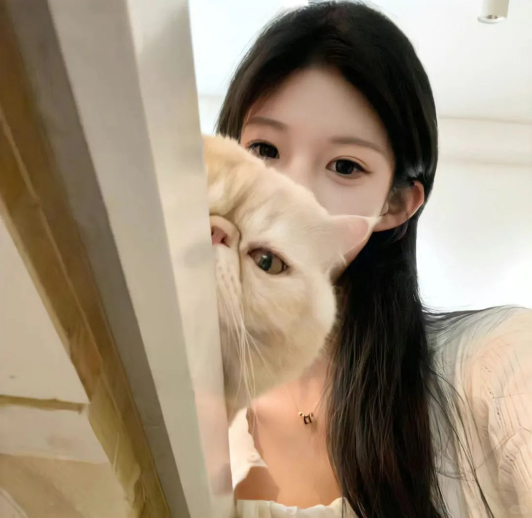 WeChat|甜妹头像 可爱小猫 ᵐⁱᵃº~