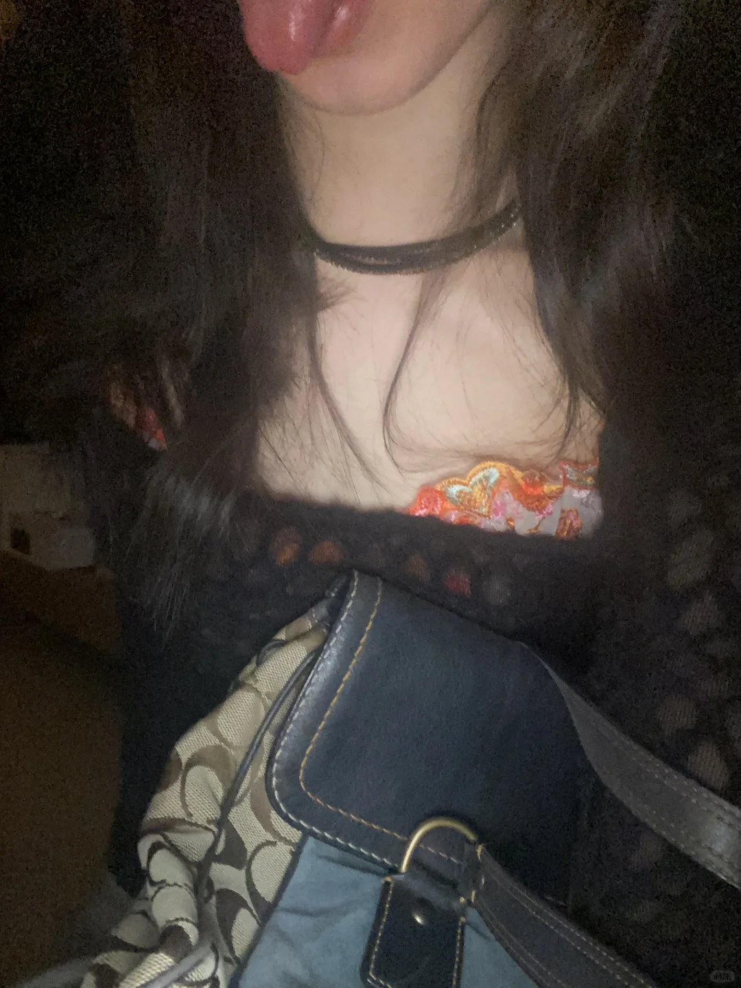 雀斑蛛