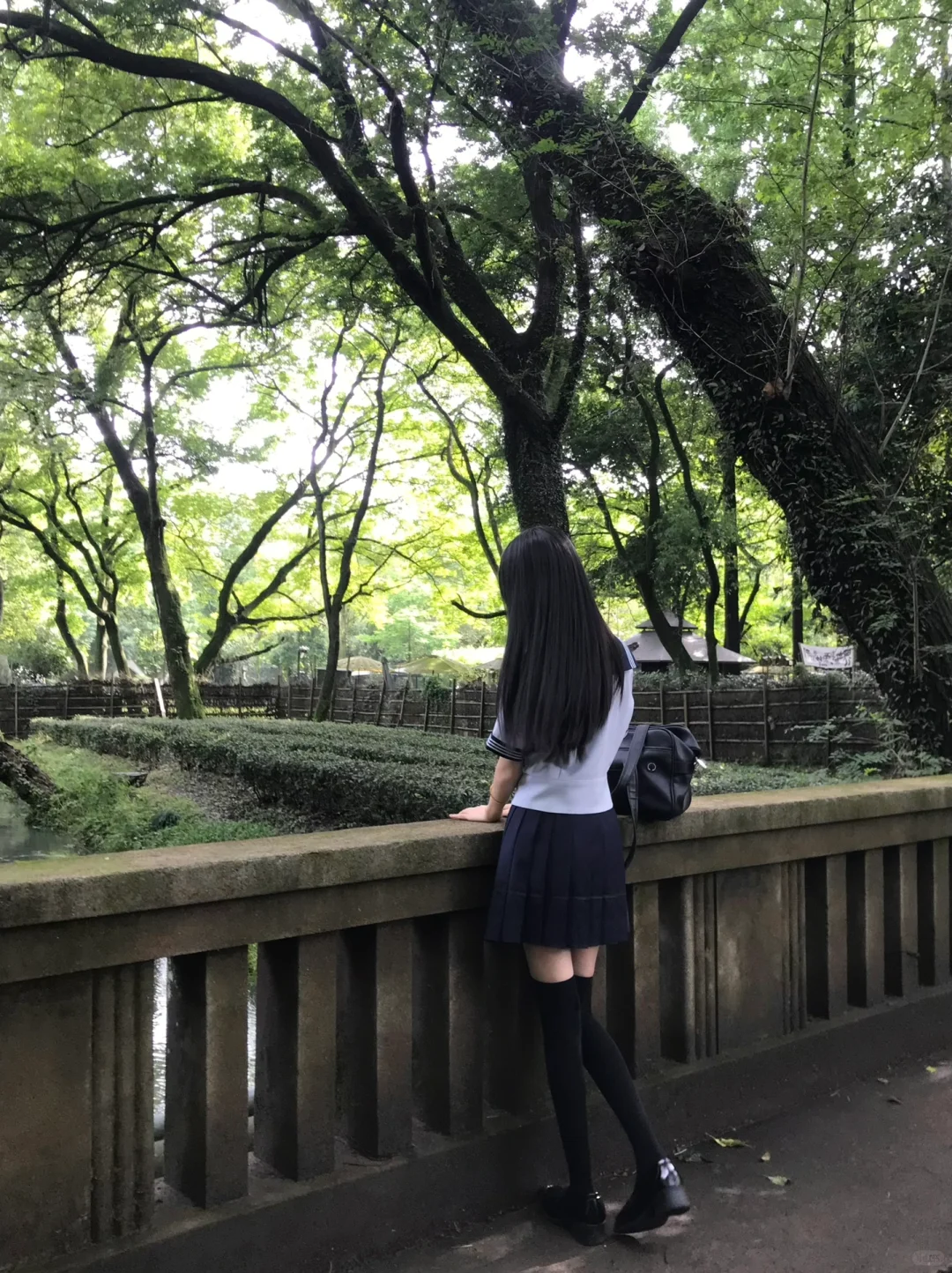 夏日幻想