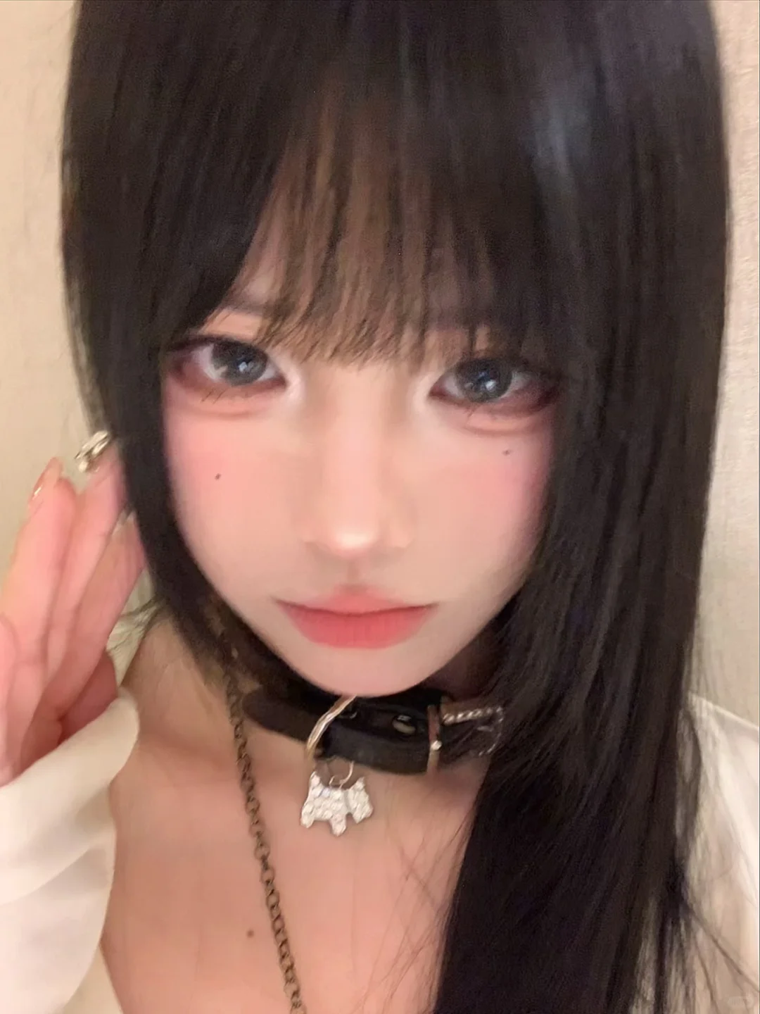 走开 一股小狗味