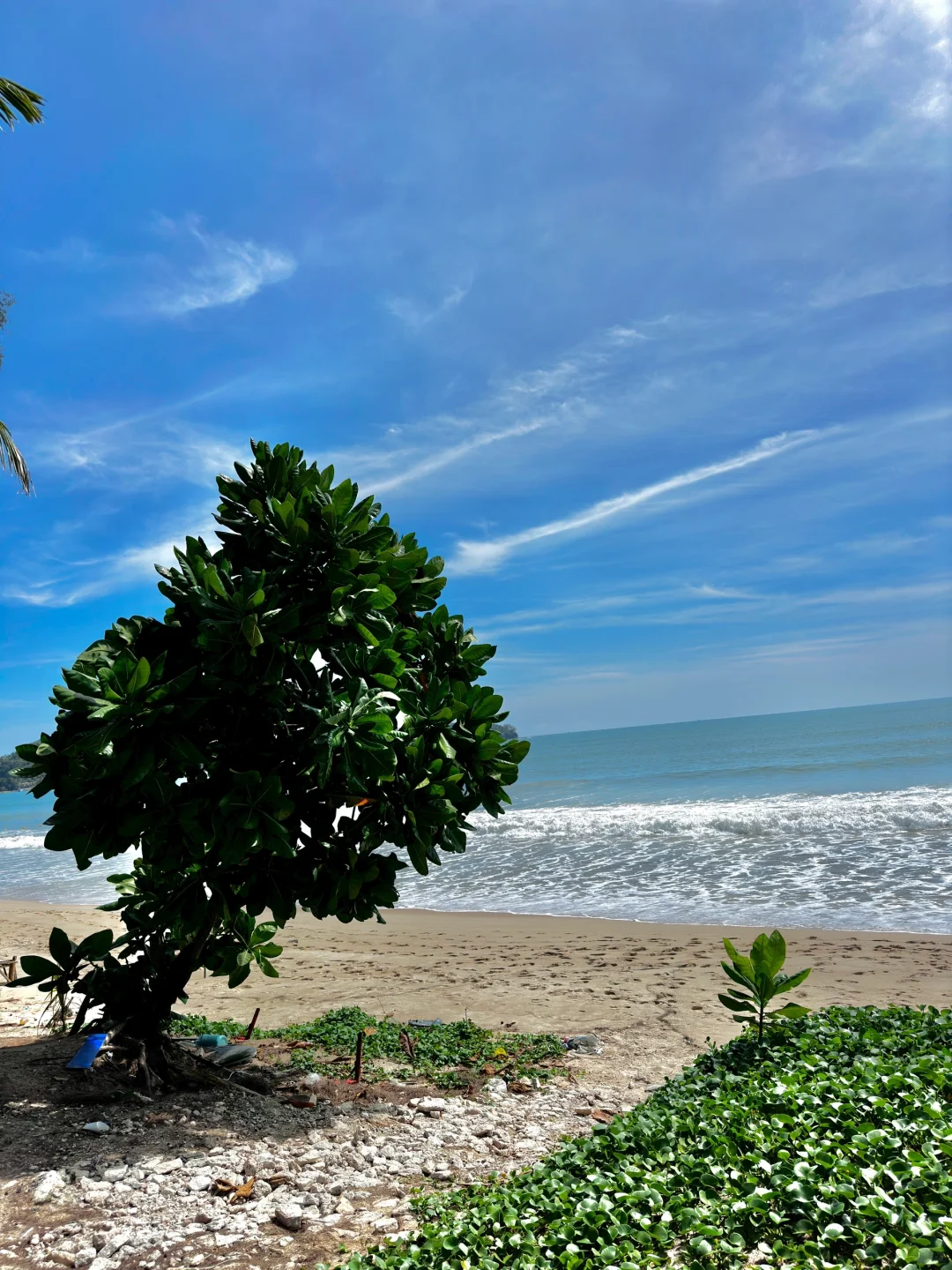 海岛上🏝️多穿一寸都是对阳光🌞的藐视