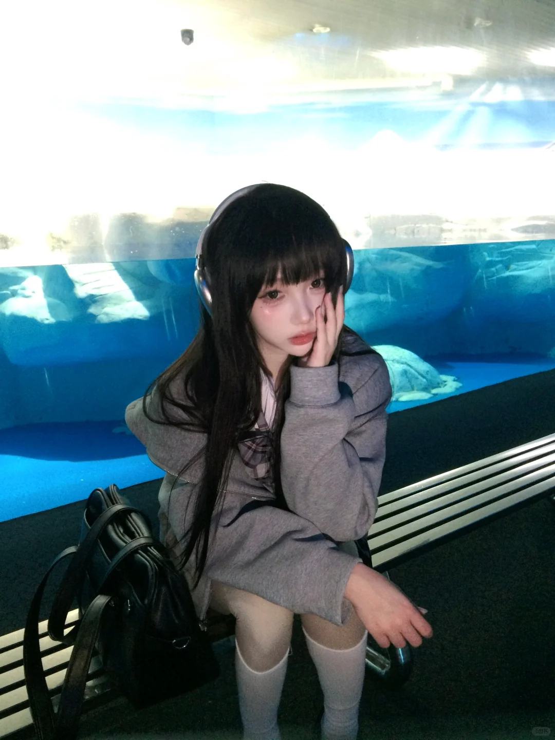 🐬˚˖𓍢ִ໋ 🐋✧˚.🐟⋆💿⋆₊ ⊹✮