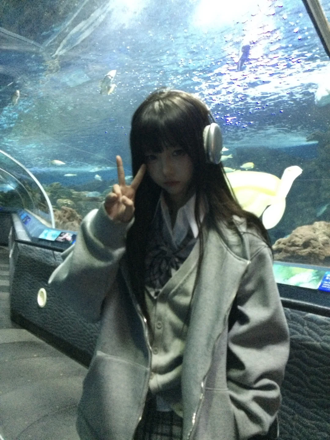 🐬˚˖𓍢ִ໋ 🐋✧˚.🐟⋆💿⋆₊ ⊹✮