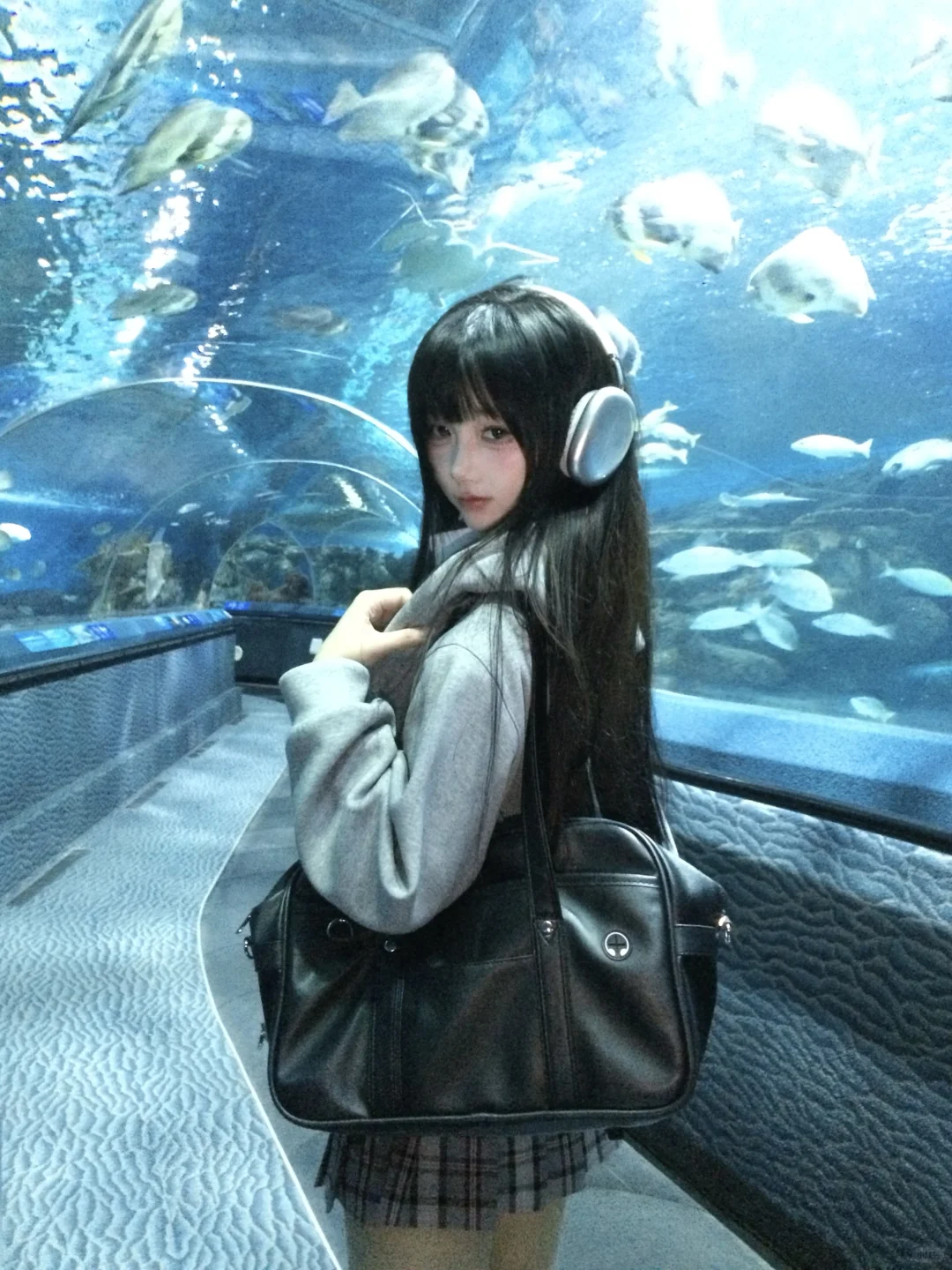 🐬˚˖𓍢ִ໋ 🐋✧˚.🐟⋆💿⋆₊ ⊹✮