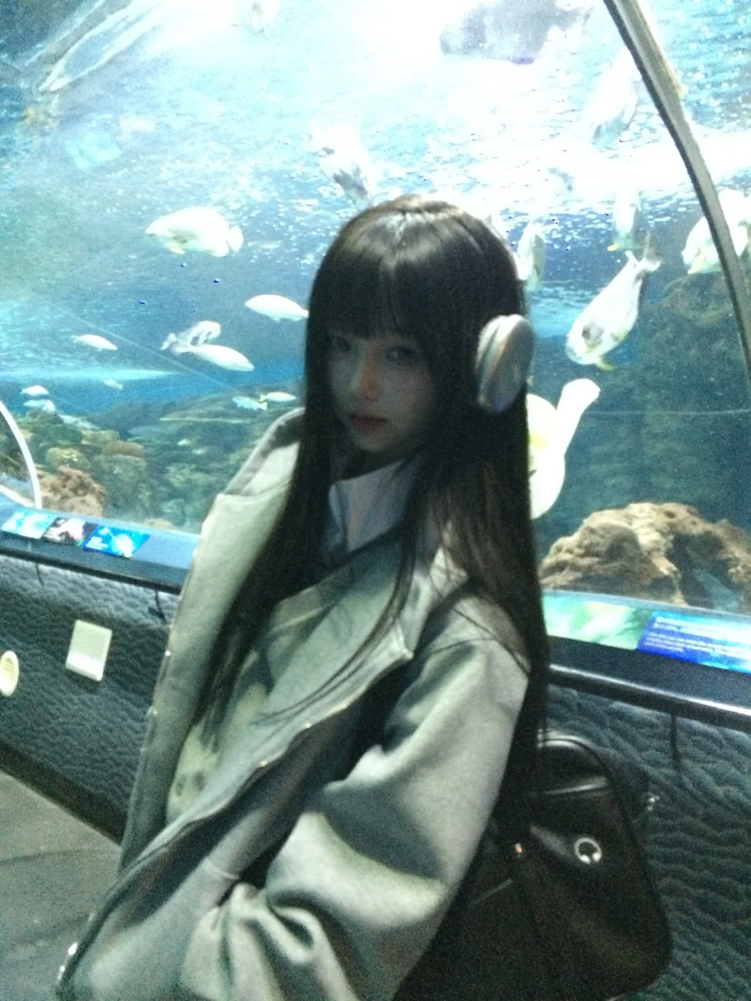 🐬˚˖𓍢ִ໋ 🐋✧˚.🐟⋆💿⋆₊ ⊹✮
