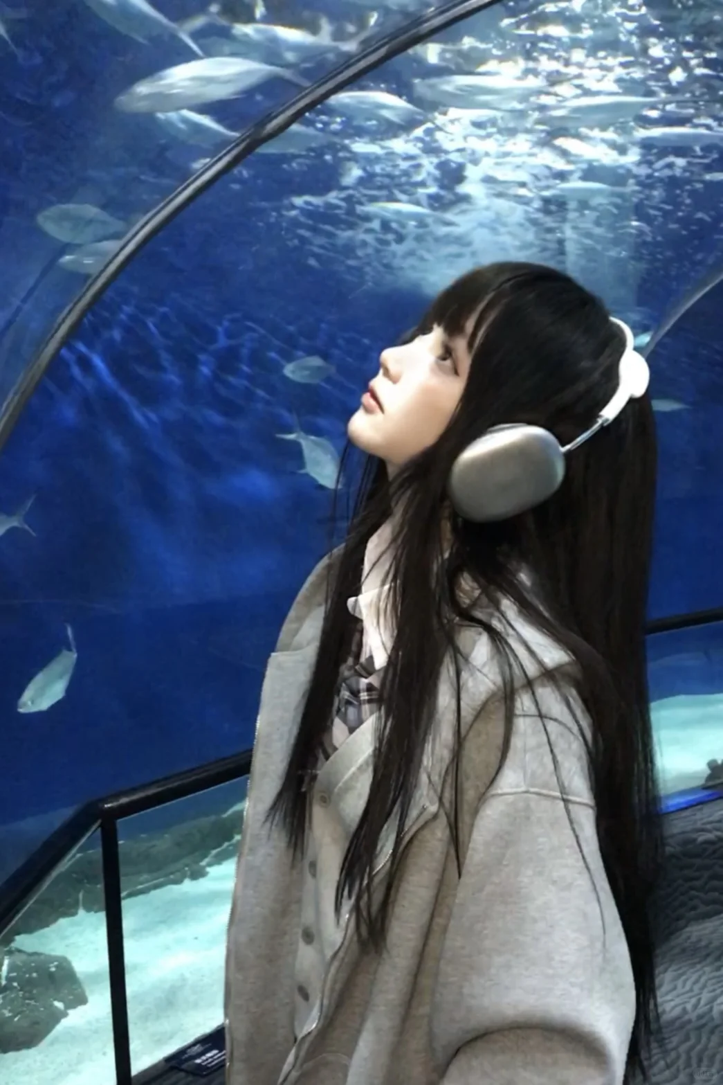 🐬˚˖𓍢ִ໋ 🐋✧˚.🐟⋆💿⋆₊ ⊹✮