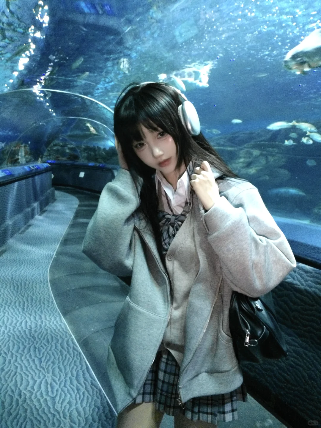 🐬˚˖𓍢ִ໋ 🐋✧˚.🐟⋆💿⋆₊ ⊹✮