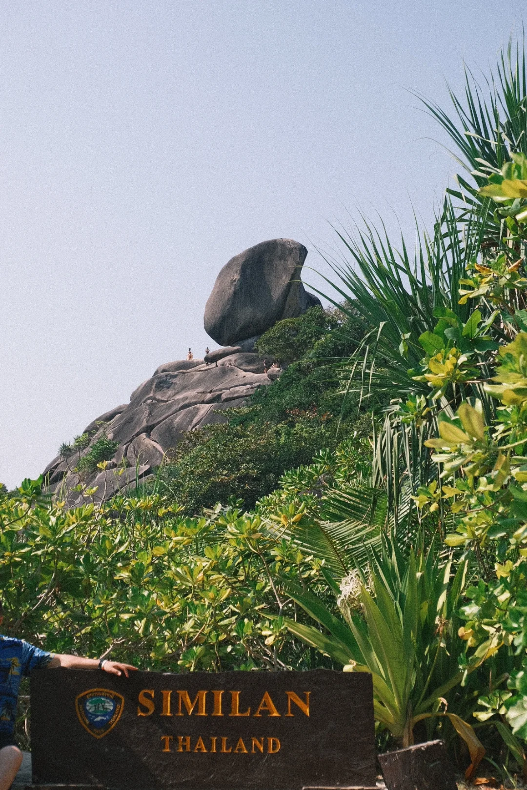 📍斯米兰提前夏天