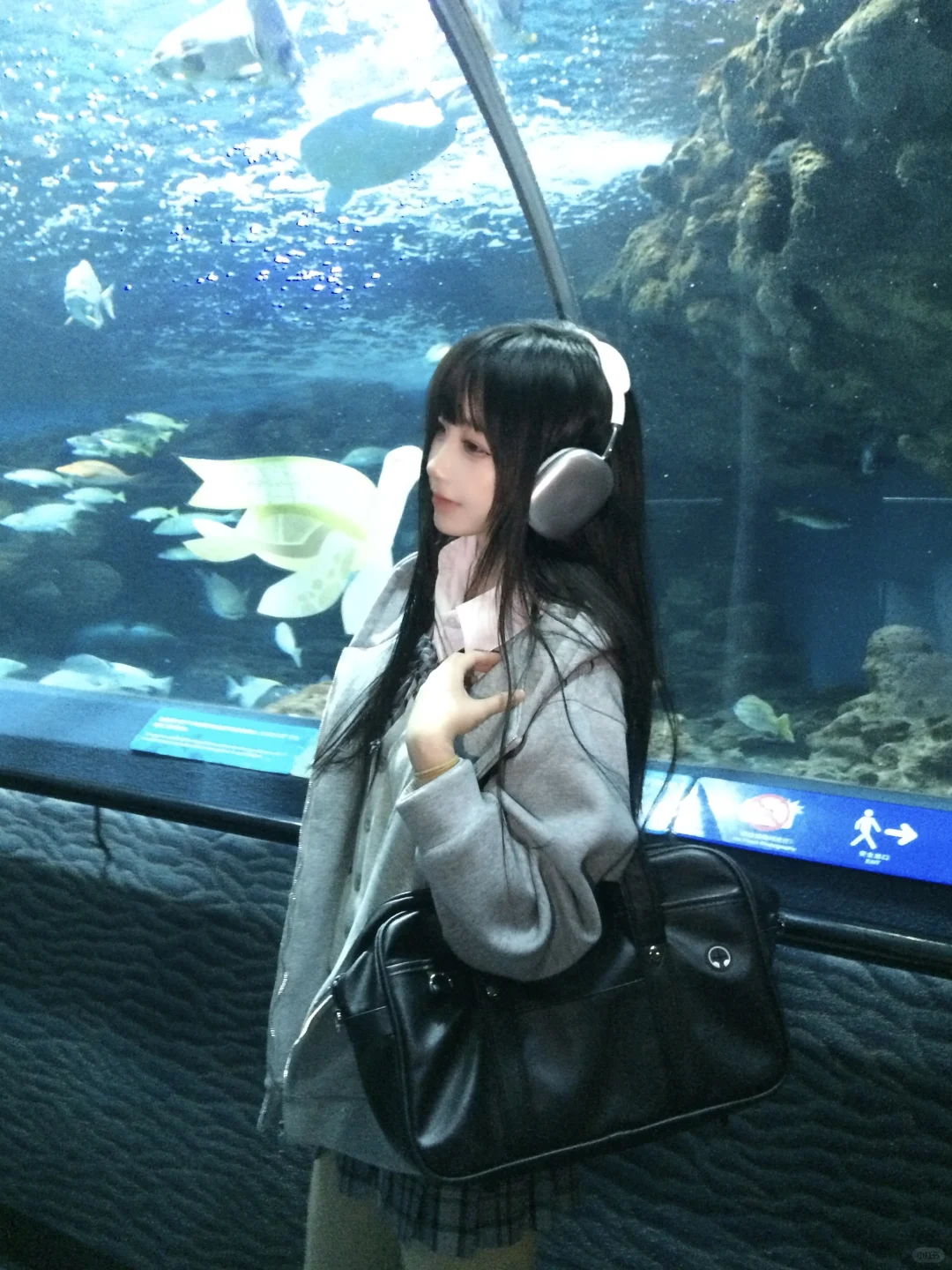 🐬˚˖𓍢ִ໋ 🐋✧˚.🐟⋆💿⋆₊ ⊹✮