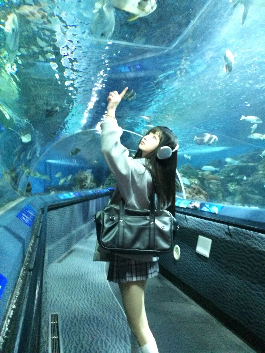 🐬˚˖𓍢ִ໋ 🐋✧˚.🐟⋆💿⋆₊ ⊹✮