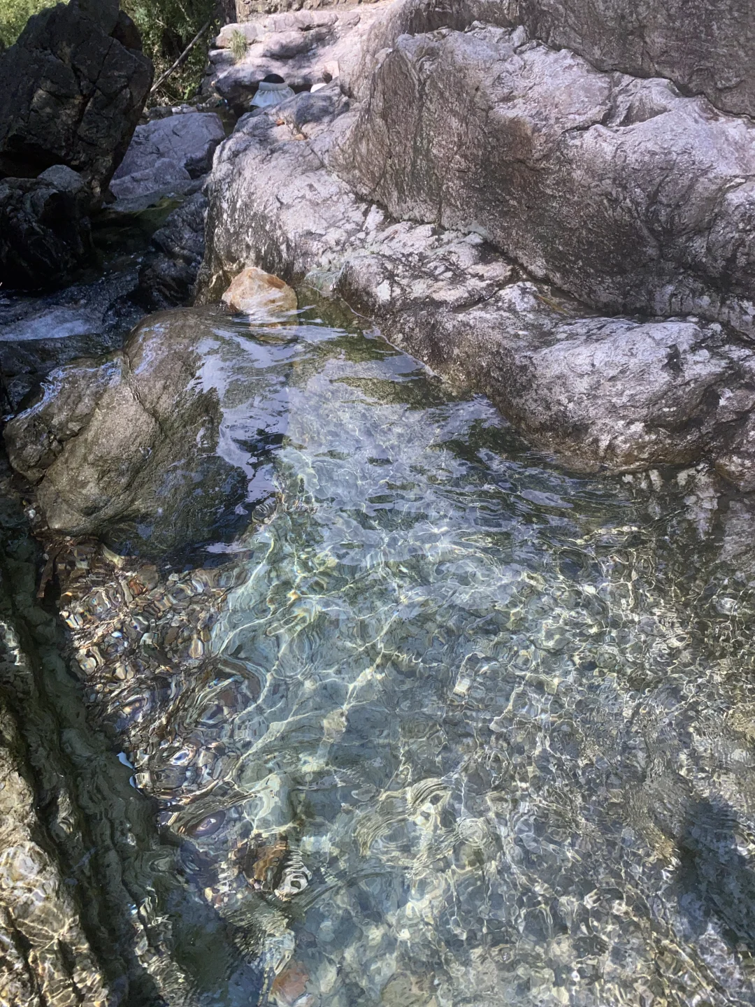˶• ˚🌿*˖ 🫧˚₊ *⸝⸝‧
