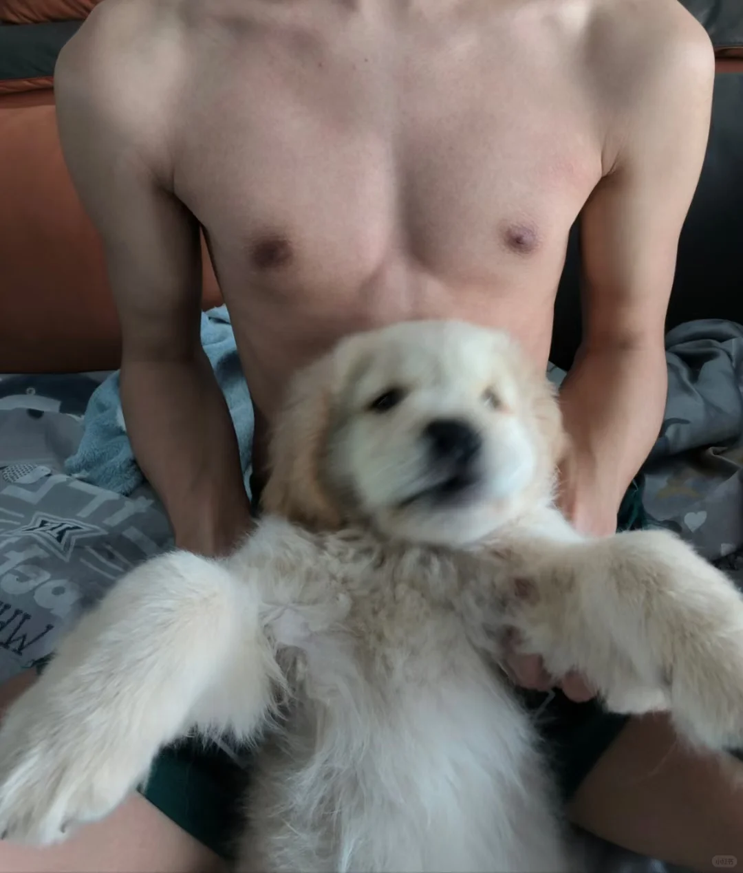 我和我的狗