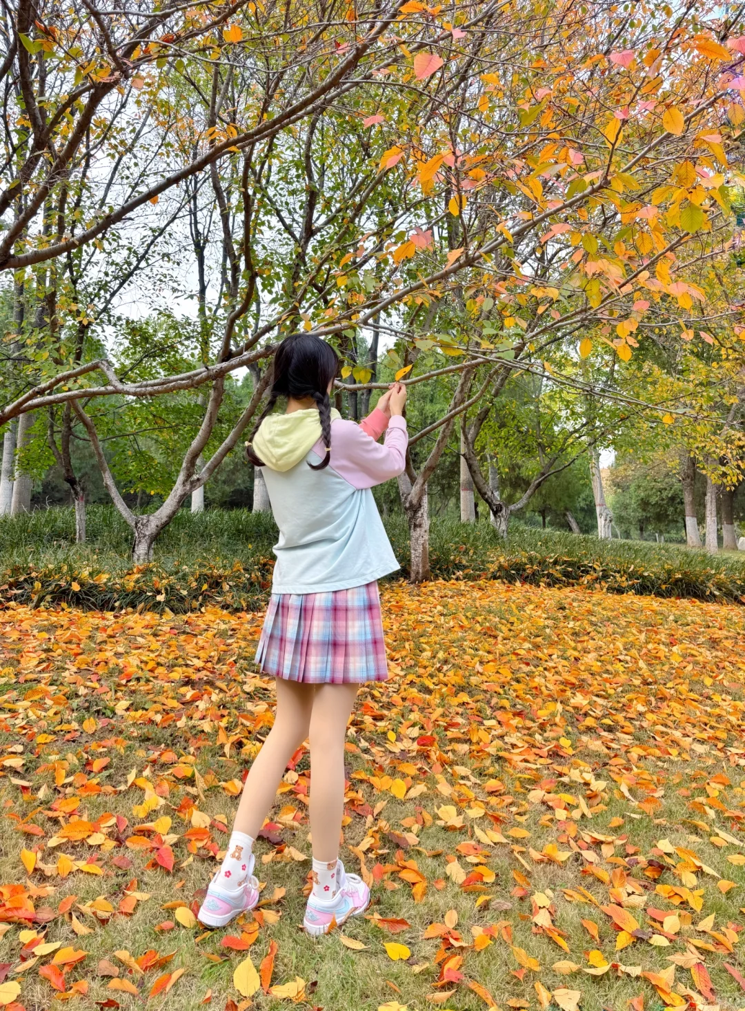 ▹𝗧𝗼𝗱𝗮𝘆🧡赴一场橘子味の晚秋🍊