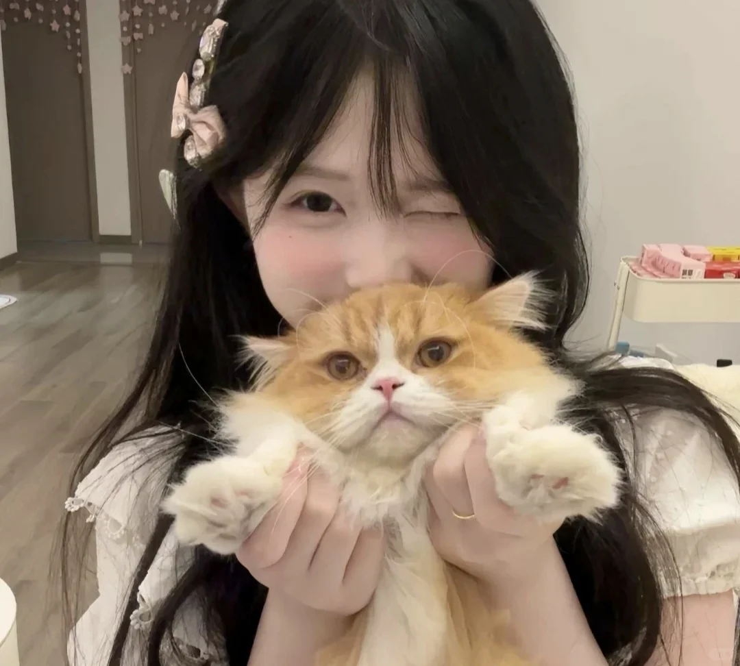 We Chat.软绵绵女头 ^泡芙.