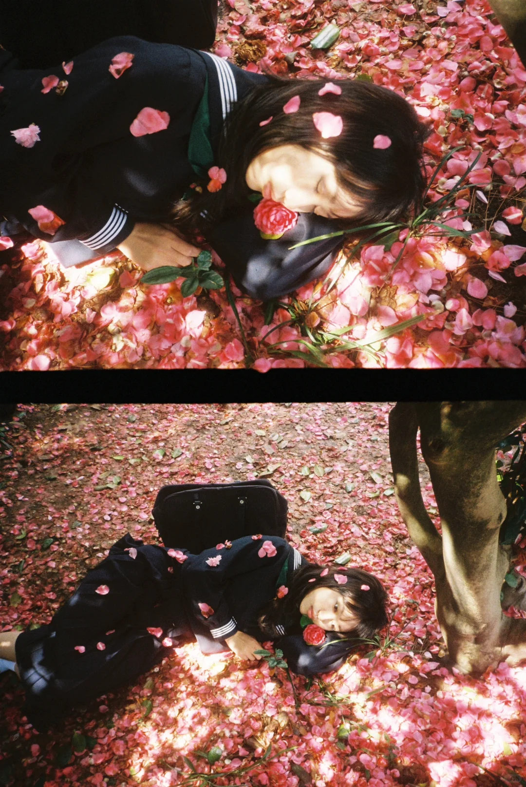 “春踏过山茶的碎尸🌺”