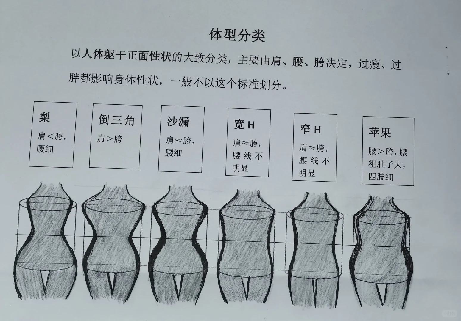 身材分类是大致分类，没必要复杂化