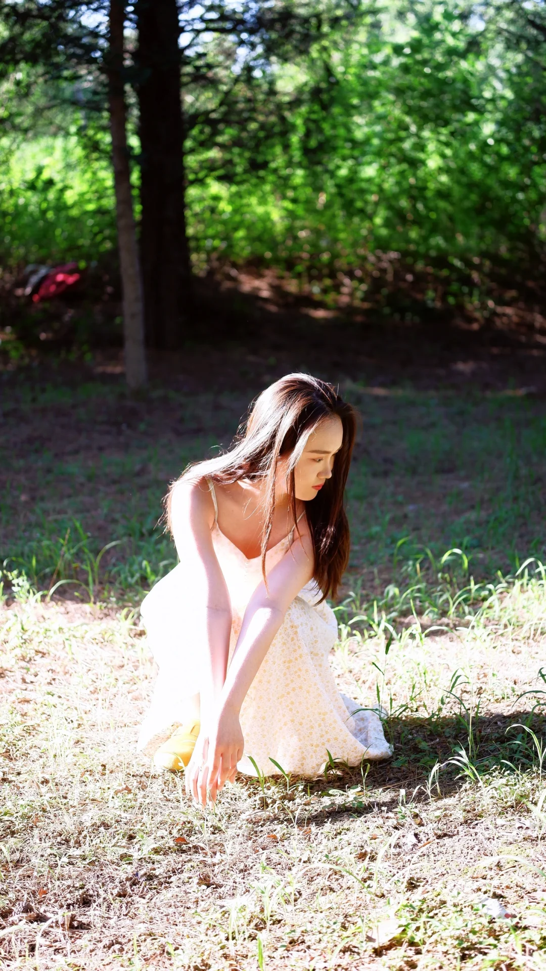 🌼森系写真｜把清新与浪漫装进镜头里