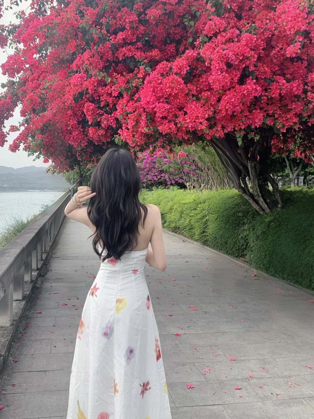 ccd🌸 超适合i人的小幅度拍花姿势
