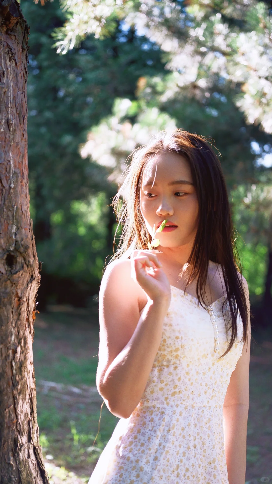 🌼森系写真｜把清新与浪漫装进镜头里