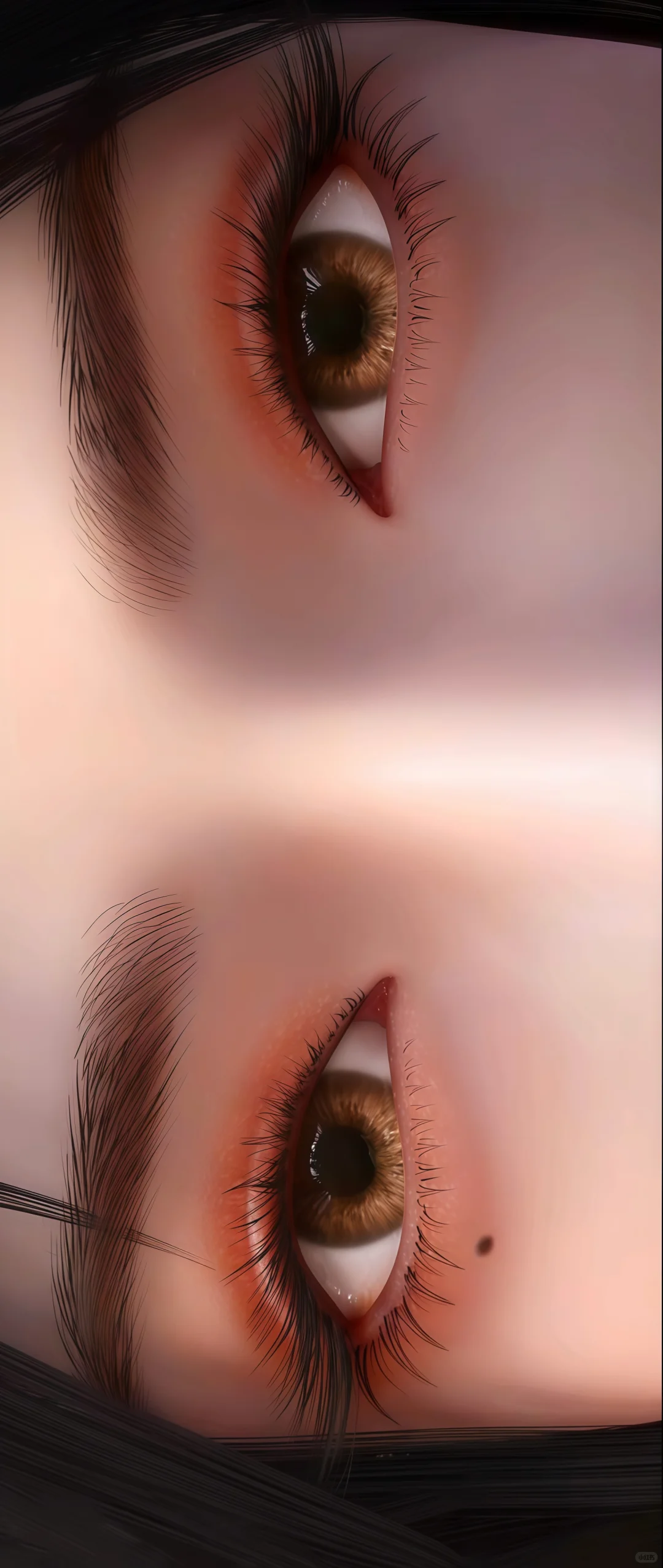 戚琳 王曦 邀月