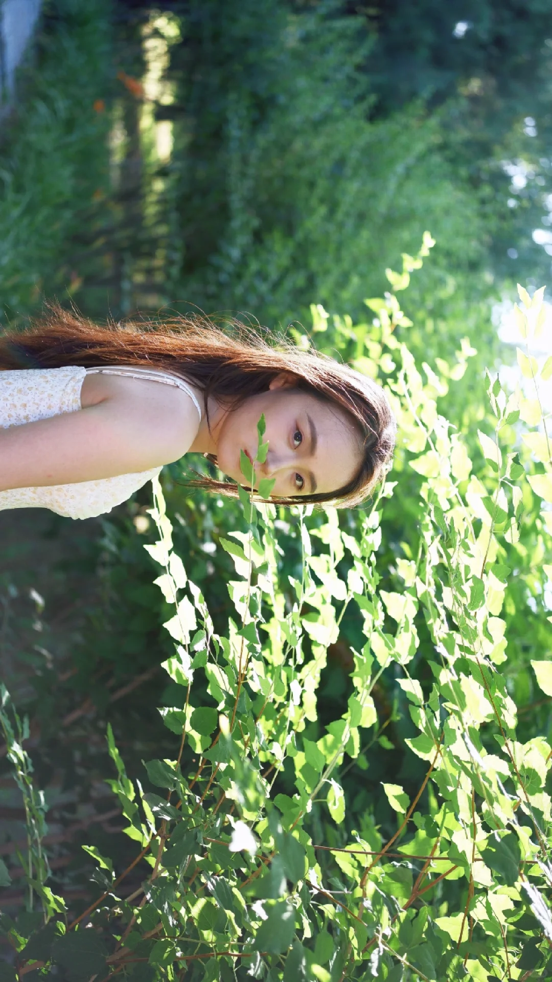 🌼森系写真｜把清新与浪漫装进镜头里