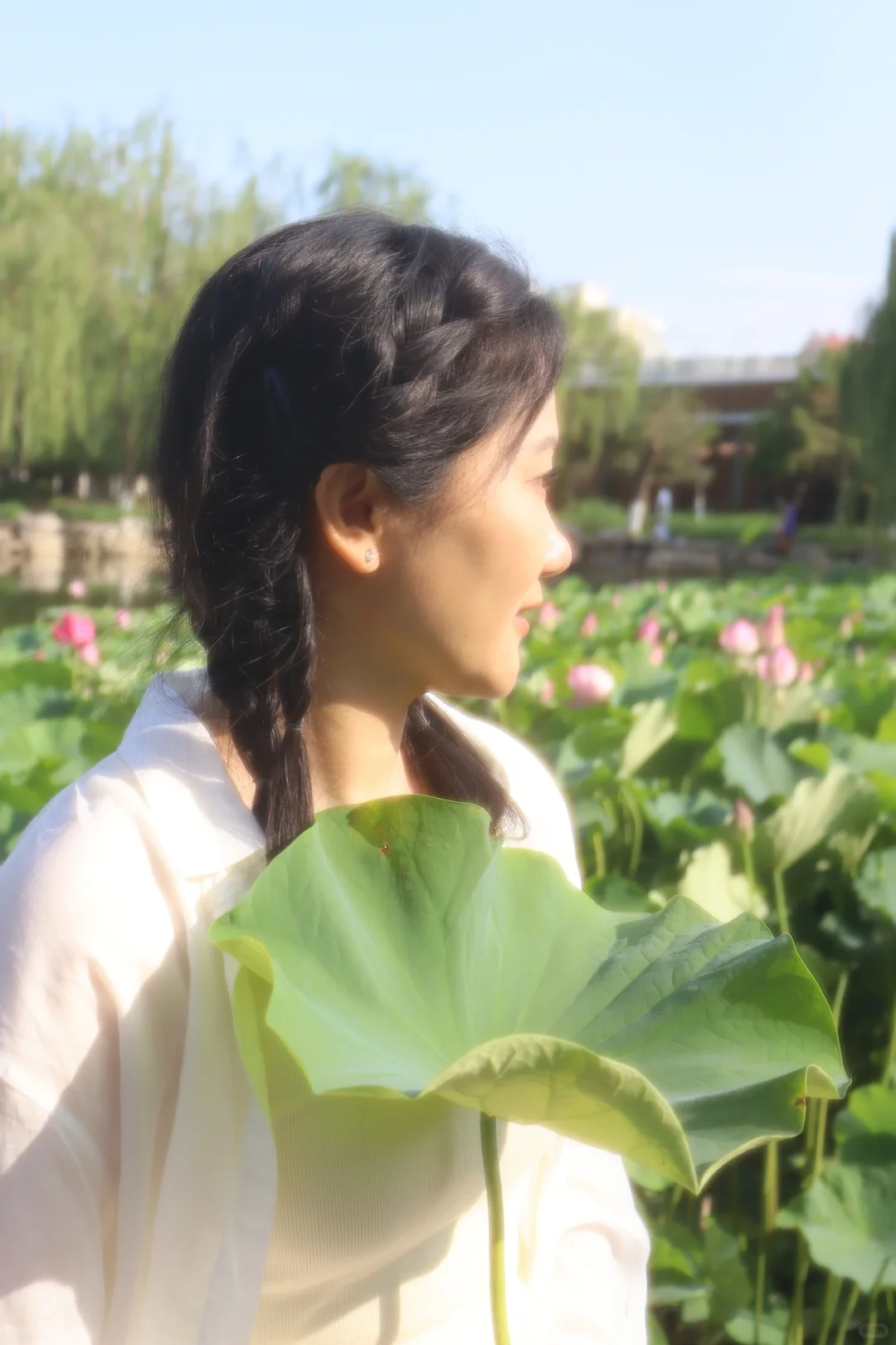 泛着光的日子