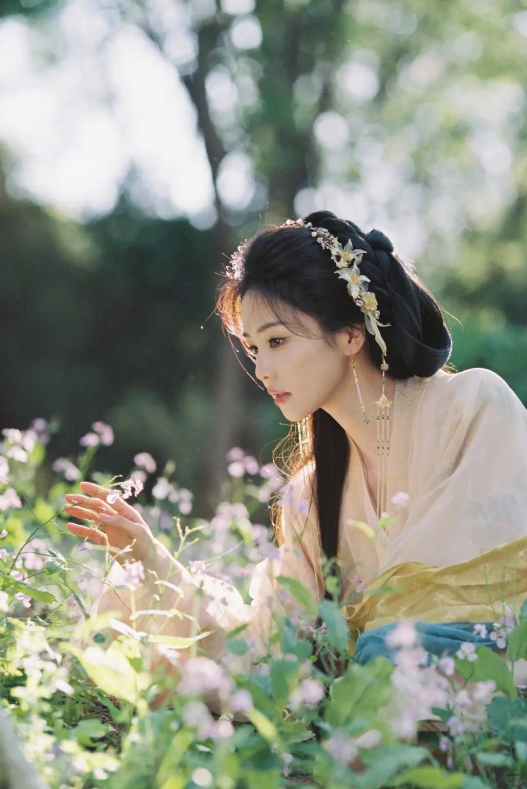 白鹿古装