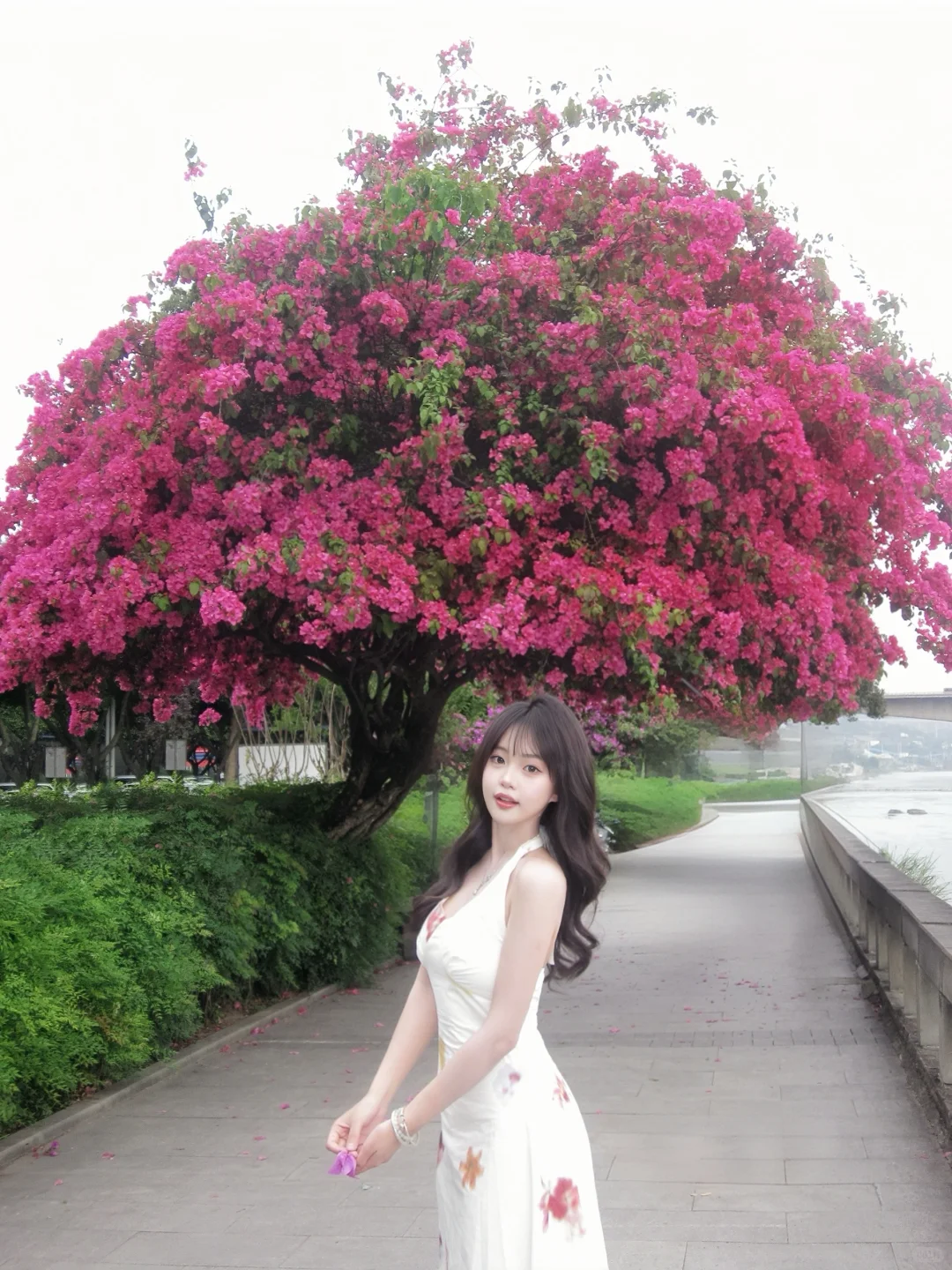 ccd🌸 超适合i人的小幅度拍花姿势