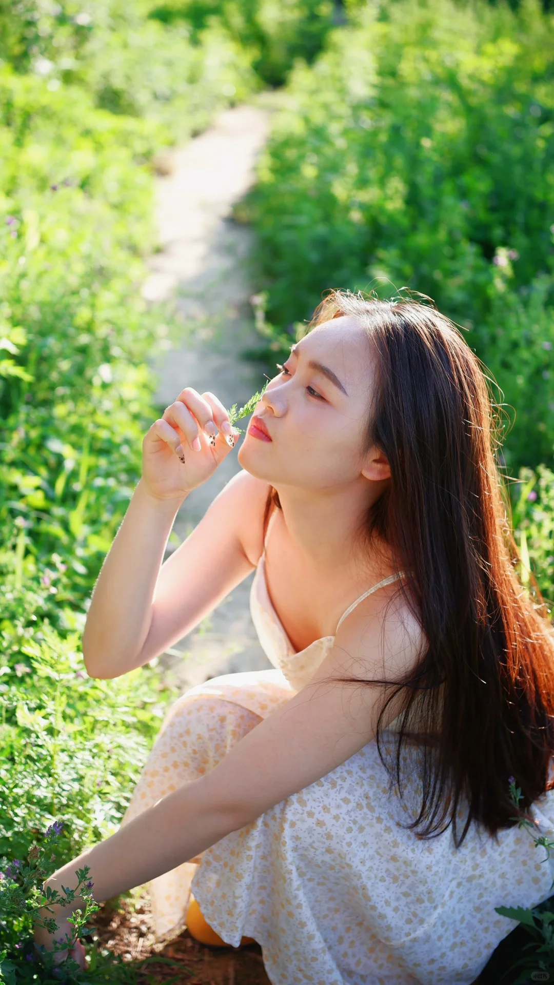 🌼森系写真｜把清新与浪漫装进镜头里