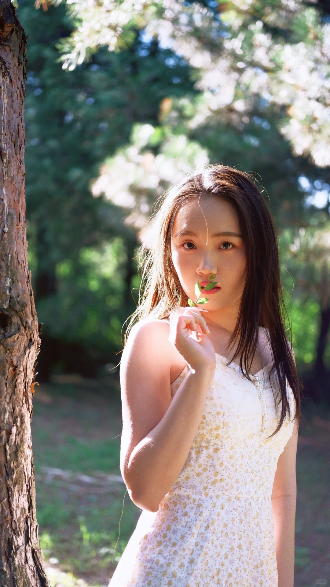 🌼森系写真｜把清新与浪漫装进镜头里