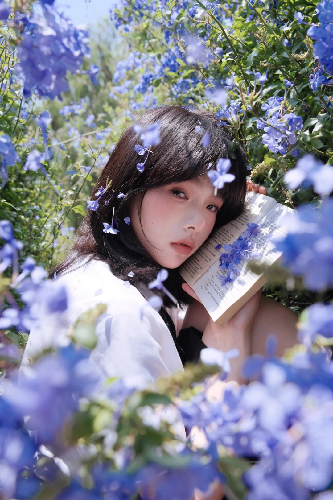 送你一曲蓝色乐章🎻