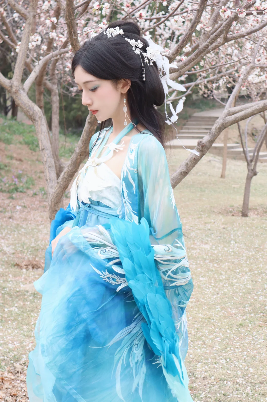 听说西域来了一位孔雀公主？🦚