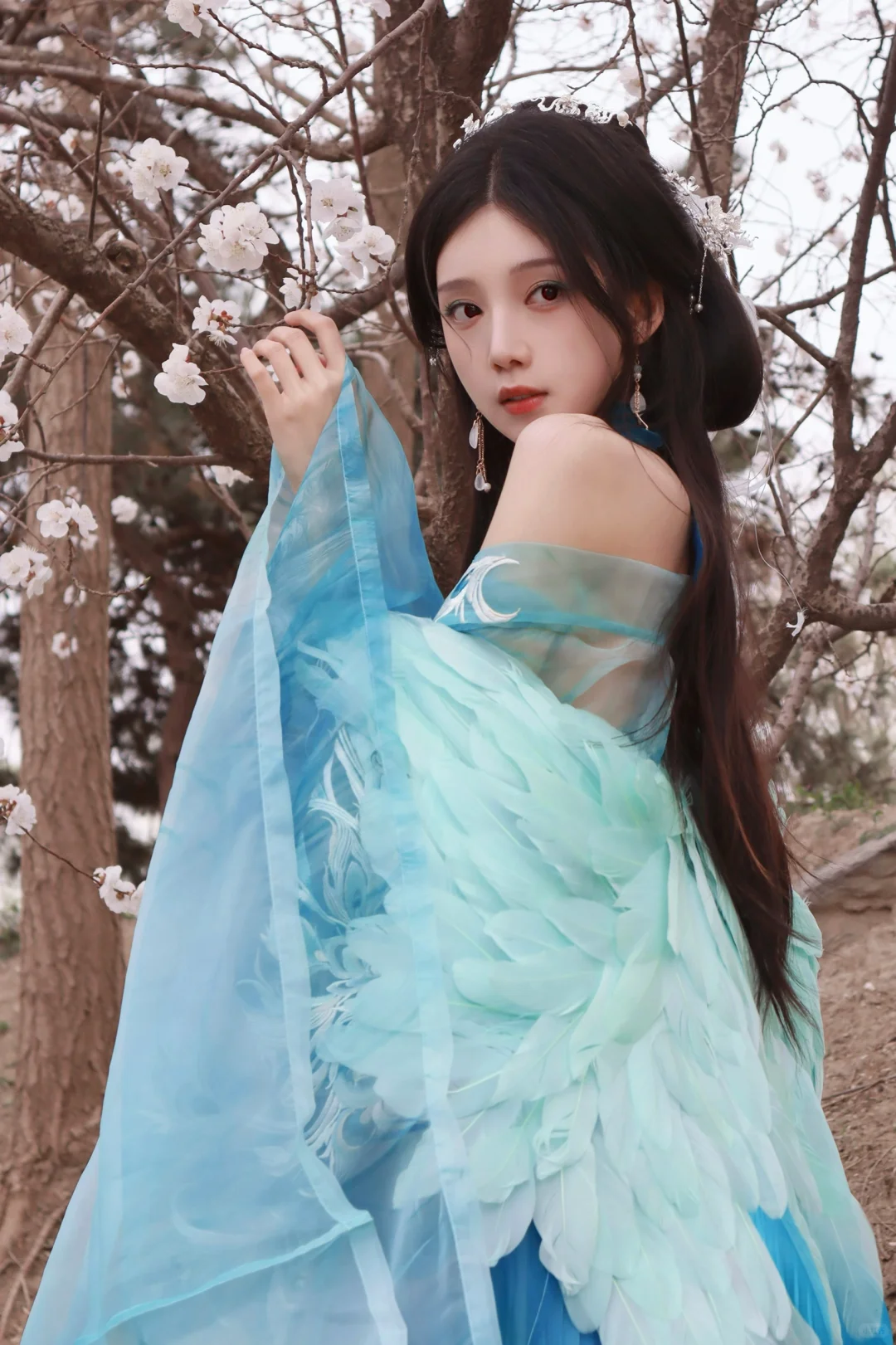 听说西域来了一位孔雀公主？🦚