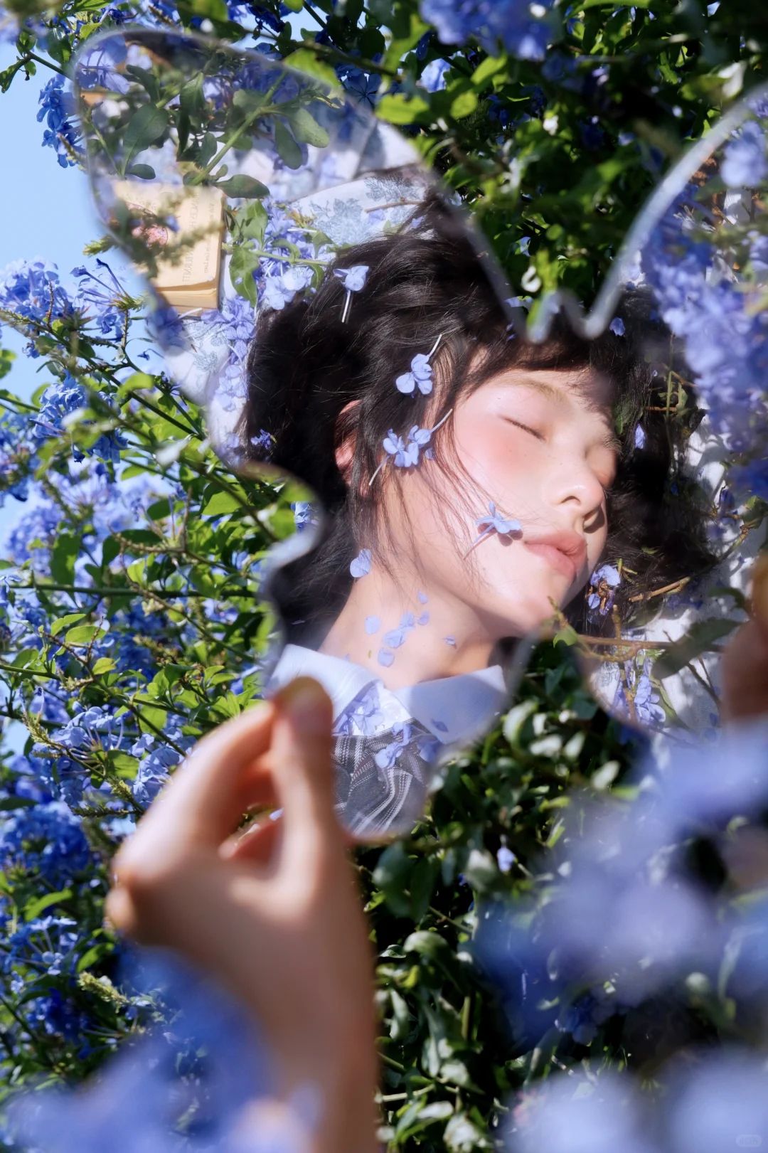 送你一曲蓝色乐章🎻