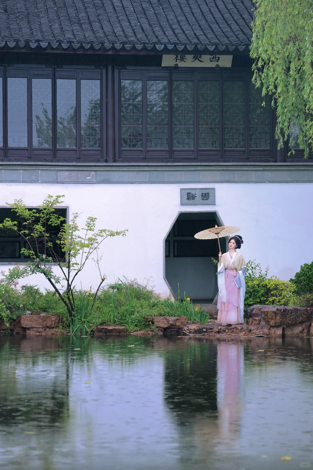 “昨夜雨疏风骤”